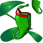 Nepy icon