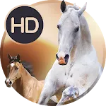 Animals wallpapers for phone icon