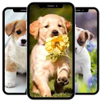 Puppy Wallpaper icon