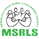 MSRLS HR icon