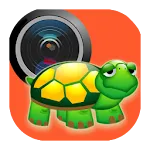 Immobility Detector icon