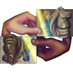 DomiDrez+ShellDrez: PokerDrez icon