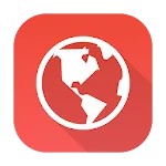 Internet icon