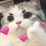 WAStickerApps Stickers Cats icon