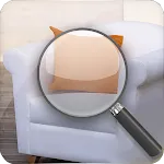Find the Differences Rooms icon
